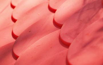 Bedfield plastic roof costs