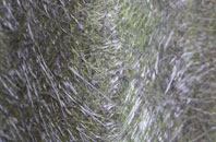 Bedfield fibreglass roof work